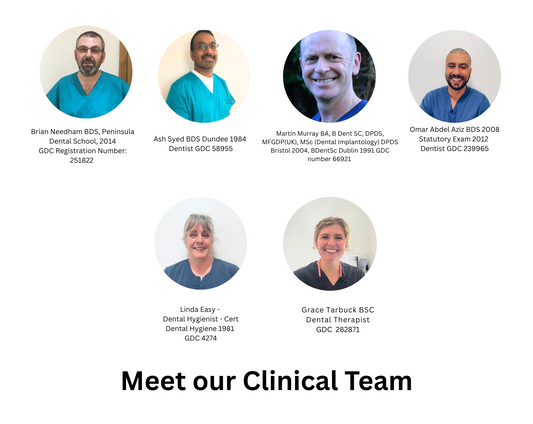 Meet the team