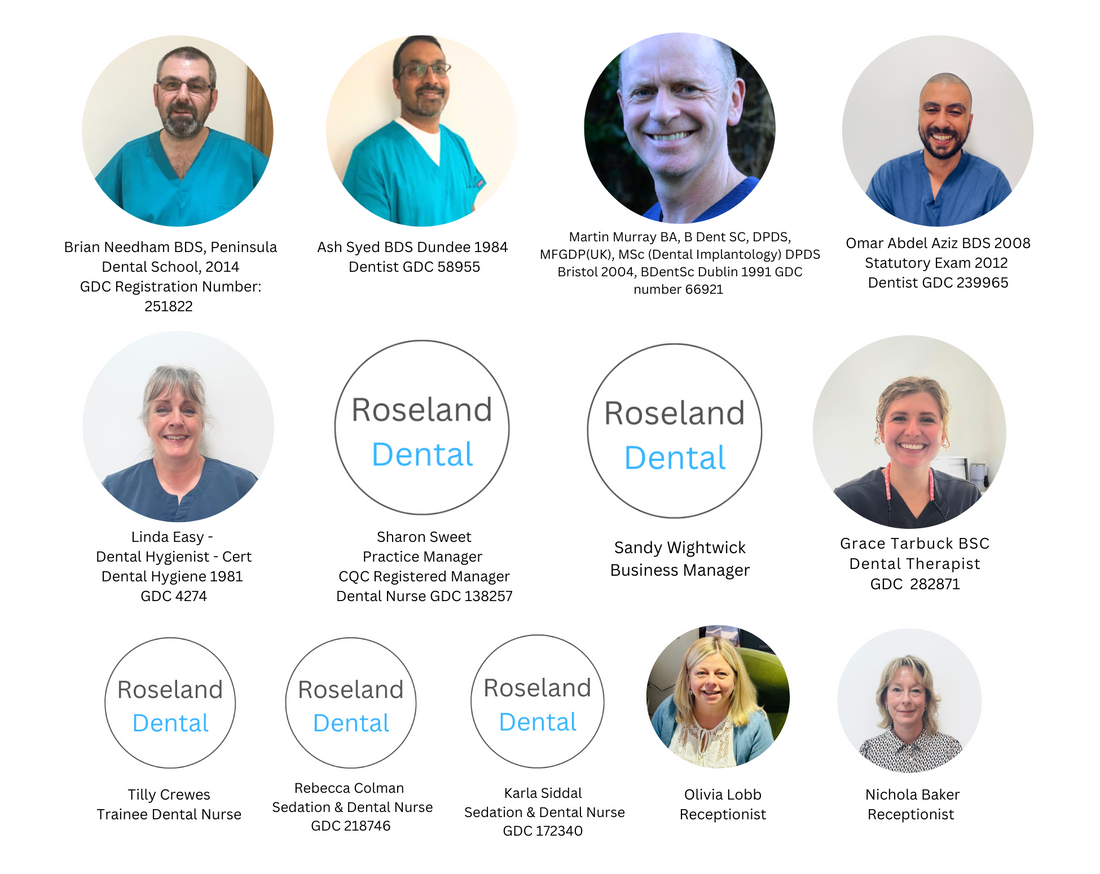 Meet the team