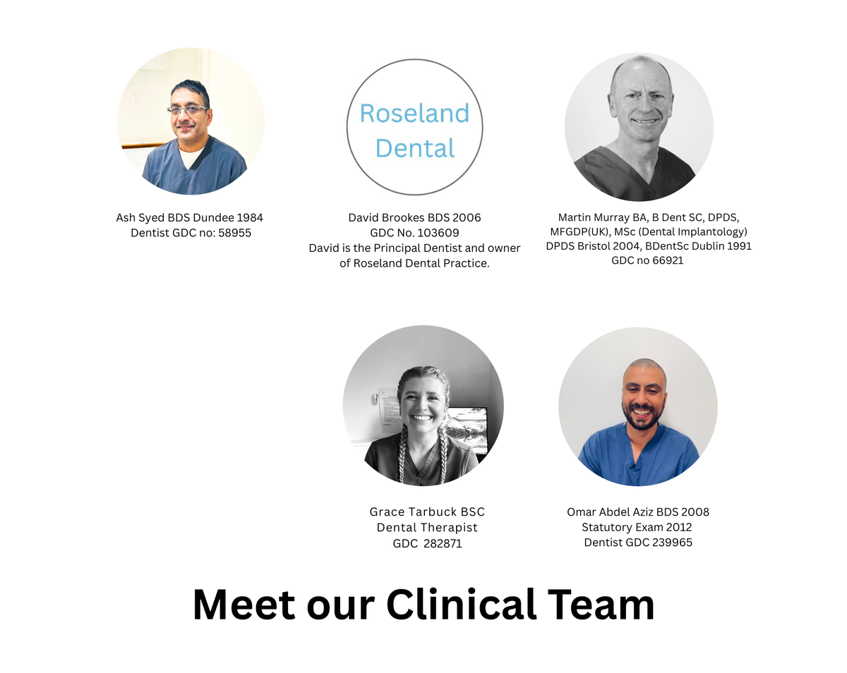 Meet the team